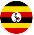 selected_icealion_logo